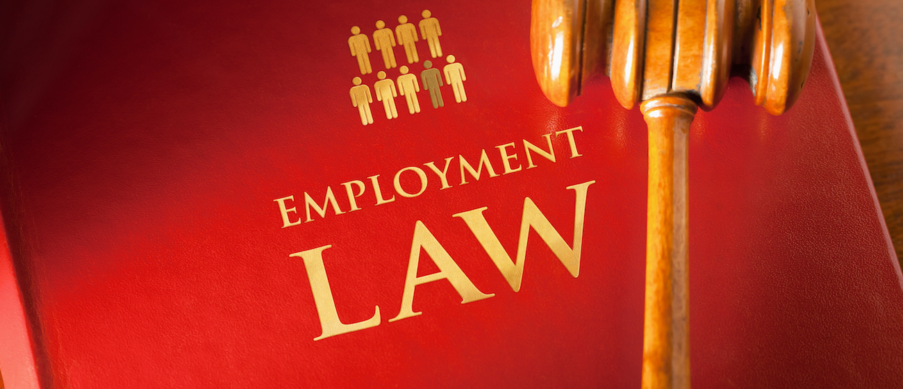 employment law book